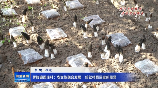 【推進(jìn)鄉(xiāng)村振興?建設(shè)農(nóng)業(yè)強縣】界牌鎮(zhèn)周莊村