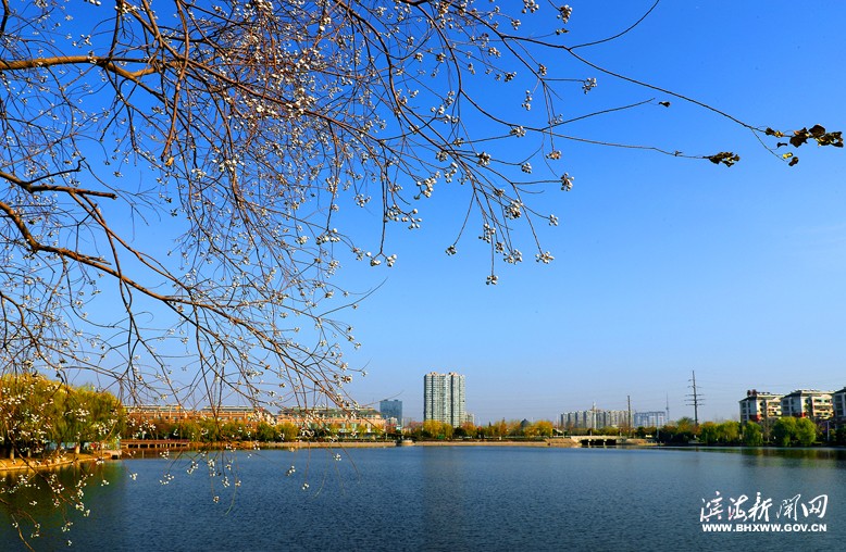 縣城南湖風(fēng)光帶