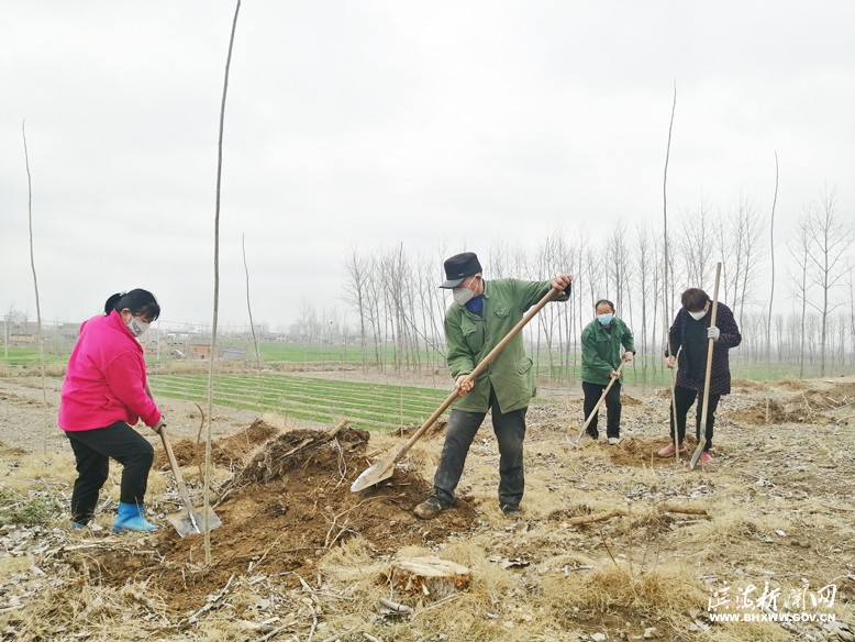 各鎮(zhèn)（區(qū)、街道）掀起植樹綠化熱潮