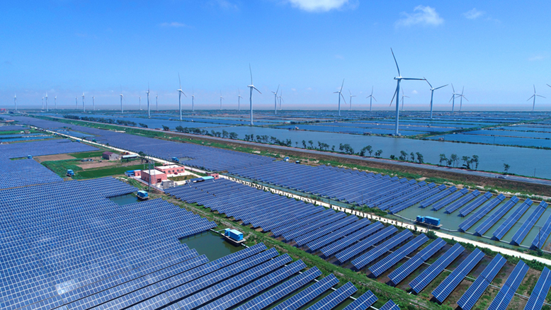 我縣沿海陸上風電和光伏發(fā)電項目一瞥